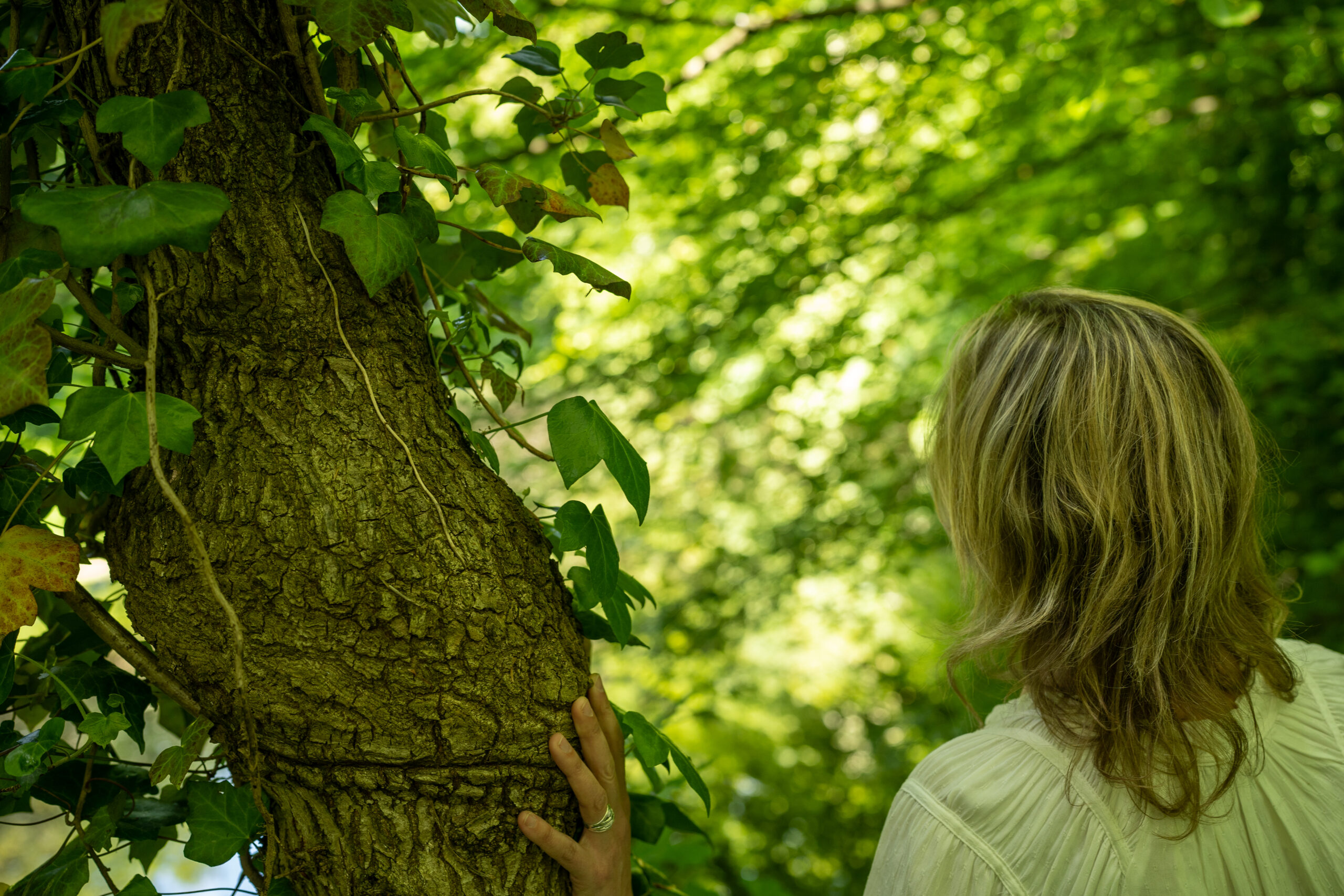 Opstellingen, Heemstede, Bennebroek