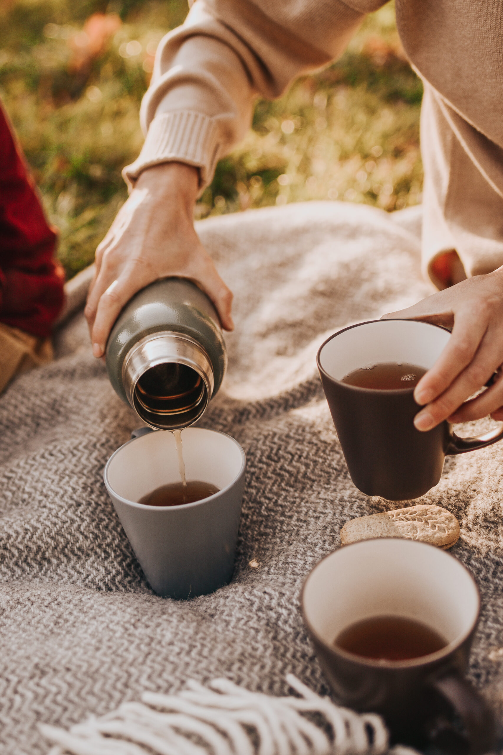 Krista Zwetsloot, Coach, Opsteller, Trainer